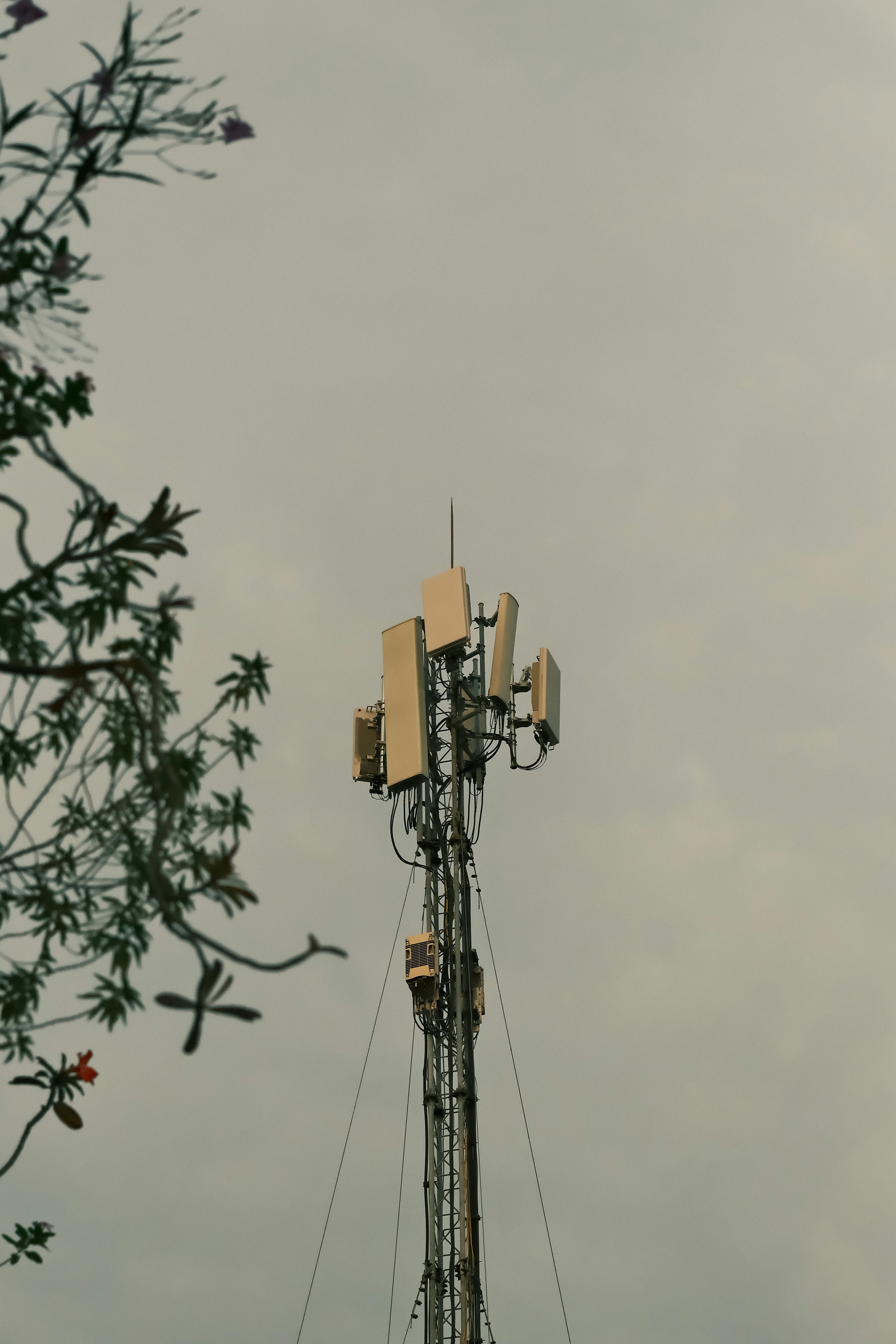 Repair of Microwave and GSM Antennas